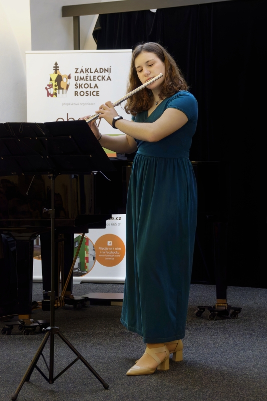 Žákovský koncert a výstava Rosice 22. 11. 2024 (HO, VO)