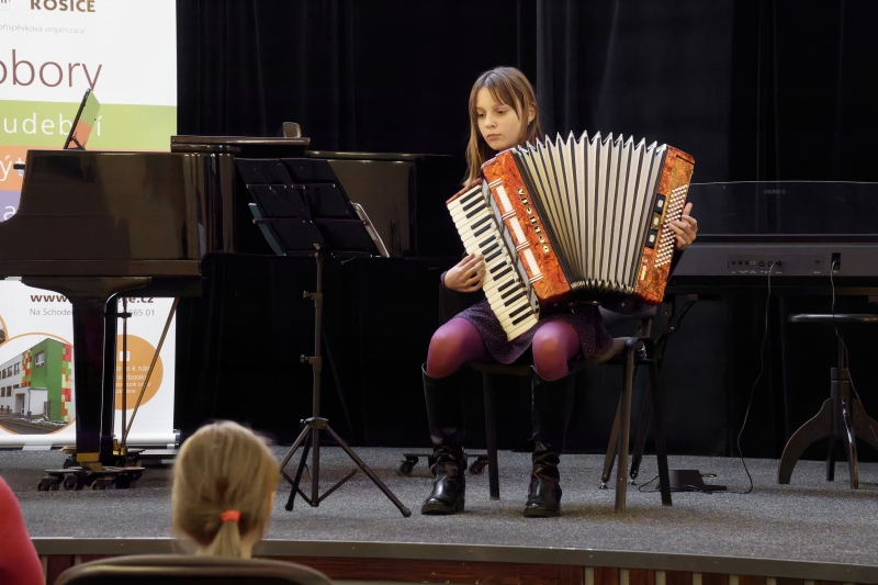 Žákovský koncert a výstava Rosice 22. 11. 2024 (HO, VO)