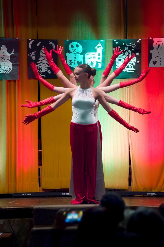 Vánoční koncert a výstava Zastávka 19. 12. 2024 (HO, VO, TO)