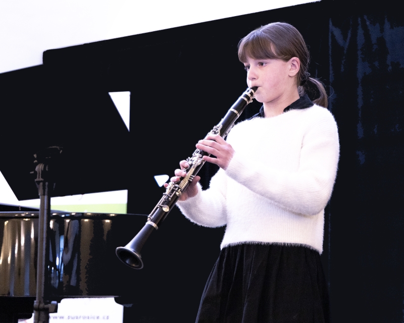 Žákovský koncert s výstavou Rosice 28. 2. 2025 (HO, VO)