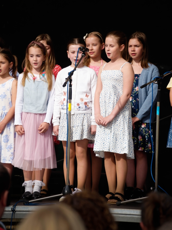 ZUŠ Open - Závěrečný koncert Rosice 30. 5. 2025 (HO, VO, TO)
