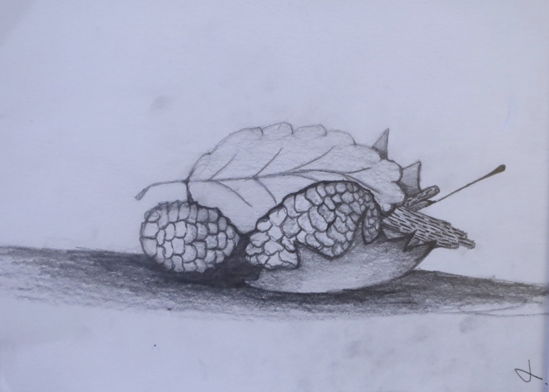 Žákovský koncert a výstava Zastávka 6. 11. 2025 (HO, VO)