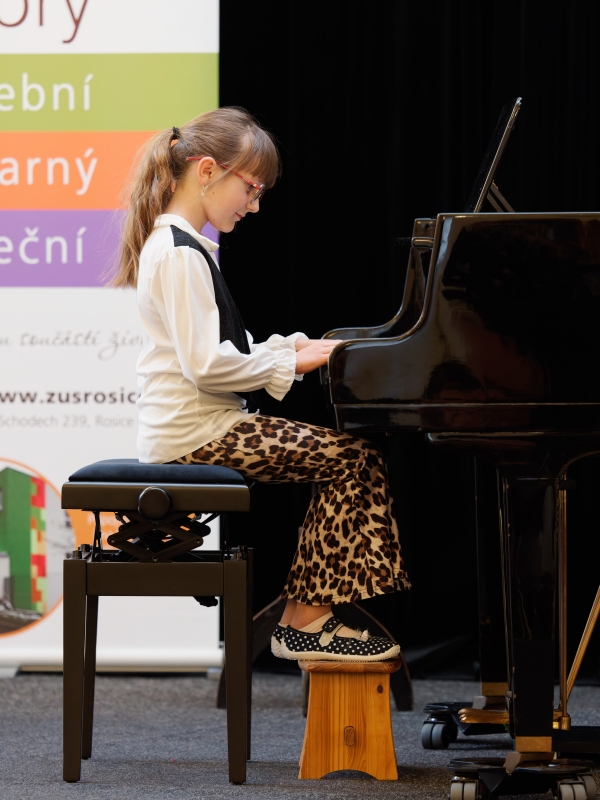 Žákovský koncert a výstava Rosice 20. 03. 2026 (HO, VO)