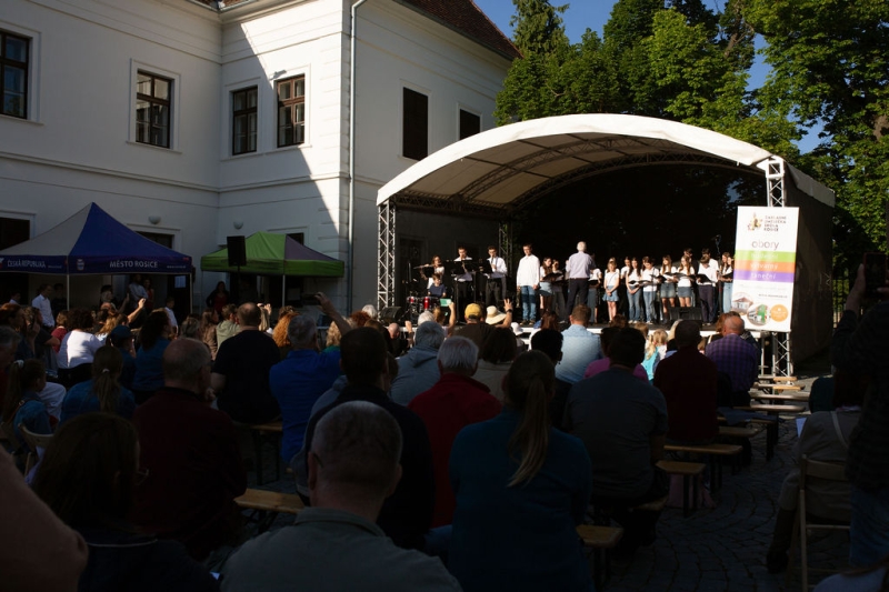  ZUŠ Open - Závěrečný koncert Rosice 30. 5. 2025 (HO, VO, TO)